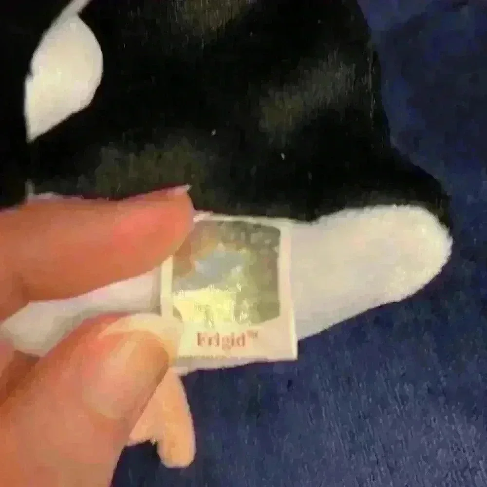 2000 Frigid Ty Beanie Baby.